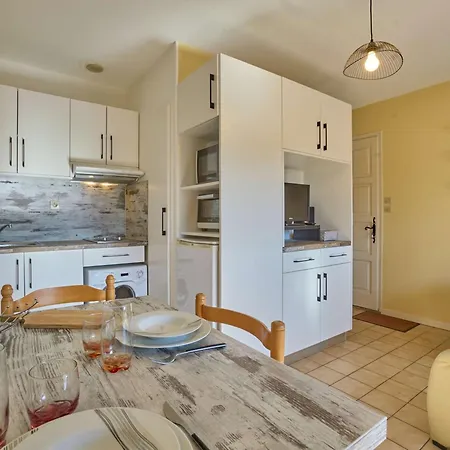 Apartment T1 Bis Cosy Pour 2, Wi-fi Et Parking, Animaux Admis - Fr-1-841-68