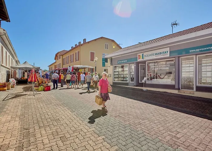 Apartmán T1 Bis Cosy Pour 2, Wi-fi Et Parking, Animaux Admis - Fr-1-841-68 Barbotan-les-Thermes